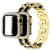Carpe Luxury Steel Leather Band + Case - Astra Straps