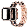 Carpe Luxury Steel Leather Band + Case - Astra Straps