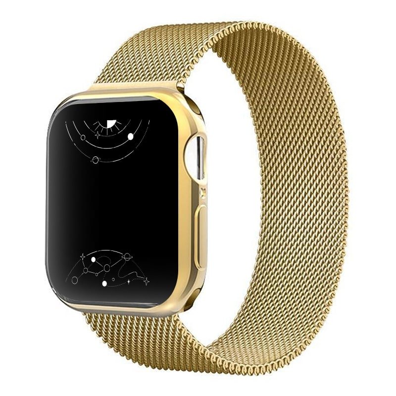 Felix Luxury Stainless Steel Band With Case - Astra Straps