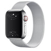 Capita Milanese Stainless Steel Band - Astra Straps