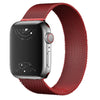Capita Milanese Stainless Steel Band - Astra Straps