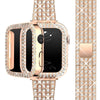 Deliciae Luxus Armband + Etui - Astra Straps