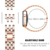 Deliciae Luxus Armband + Etui - Astra Straps