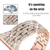Deliciae Luxus Armband + Etui - Astra Straps