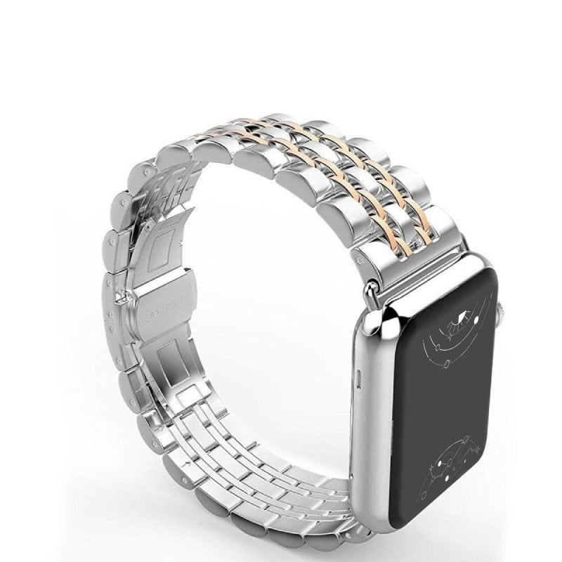 Sierra Stainless Steel Band + Case - Astra Straps