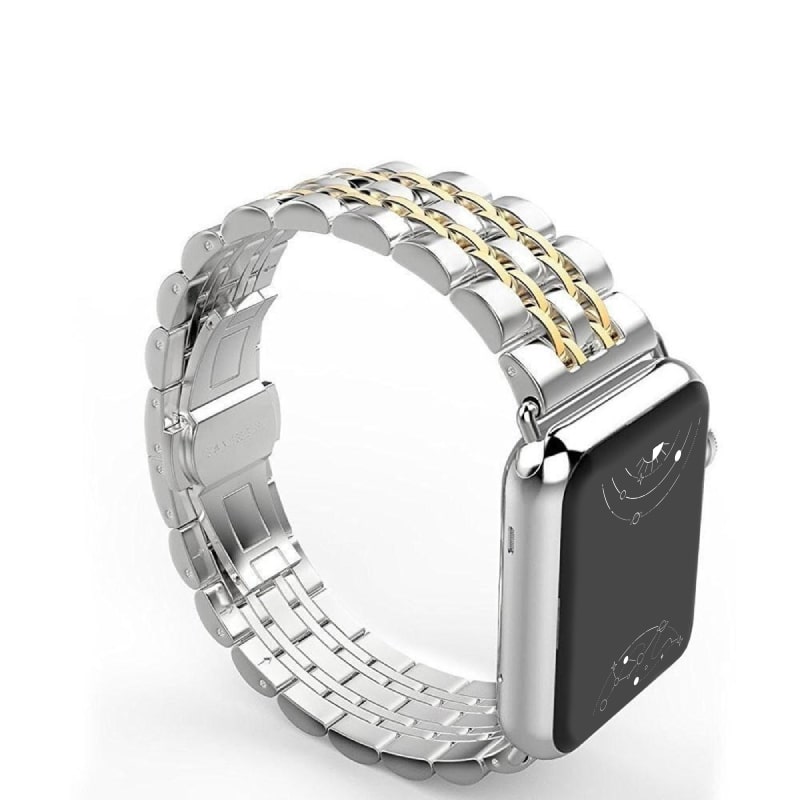 Sierra Stainless Steel Band + Case - Astra Straps