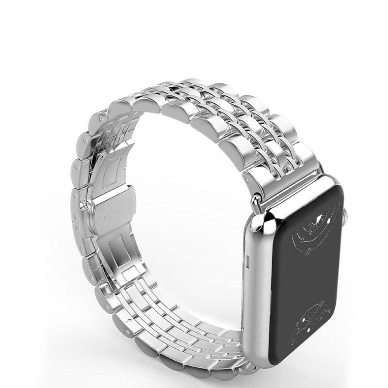Sierra Stainless Steel Band + Case - Astra Straps